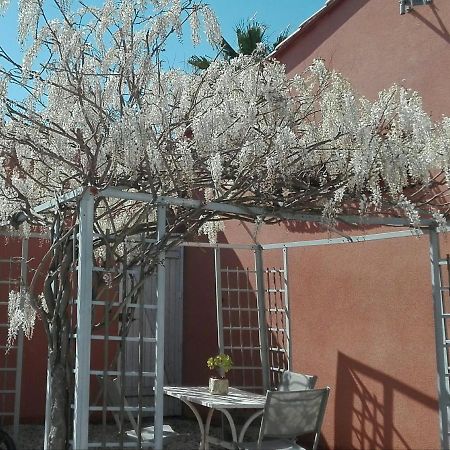 Gite Mas Uranie Le Soler Dış mekan fotoğraf