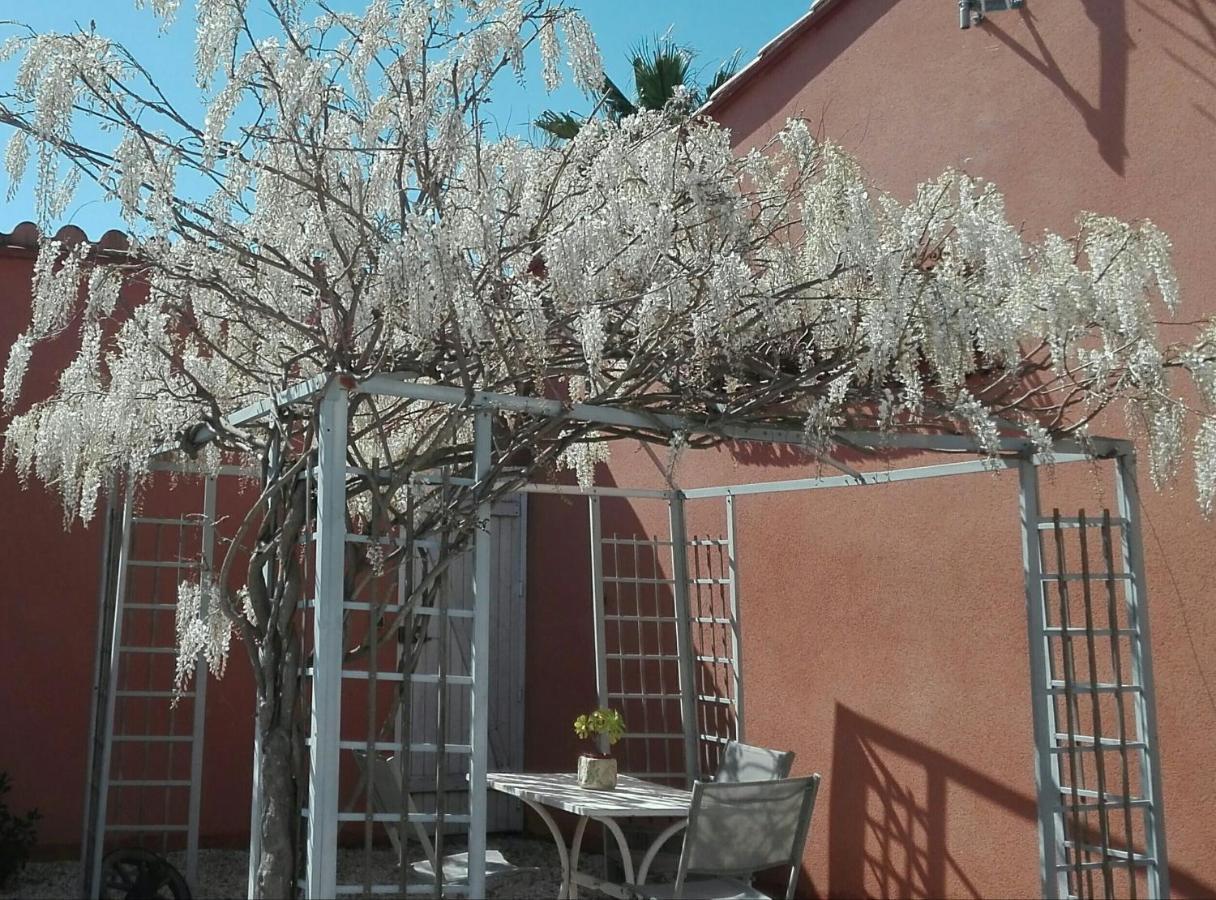 Gite Mas Uranie Le Soler Dış mekan fotoğraf